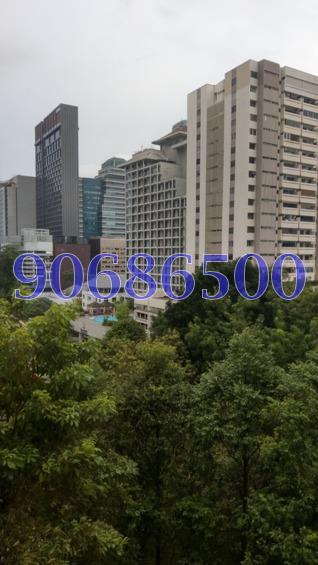 Heritage Apartments (D10), Condominium #168004192